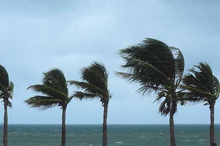 Hurricane wind damage protection